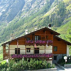 IMG_1655